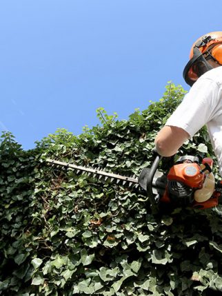 Hedge Removal Chainsaw